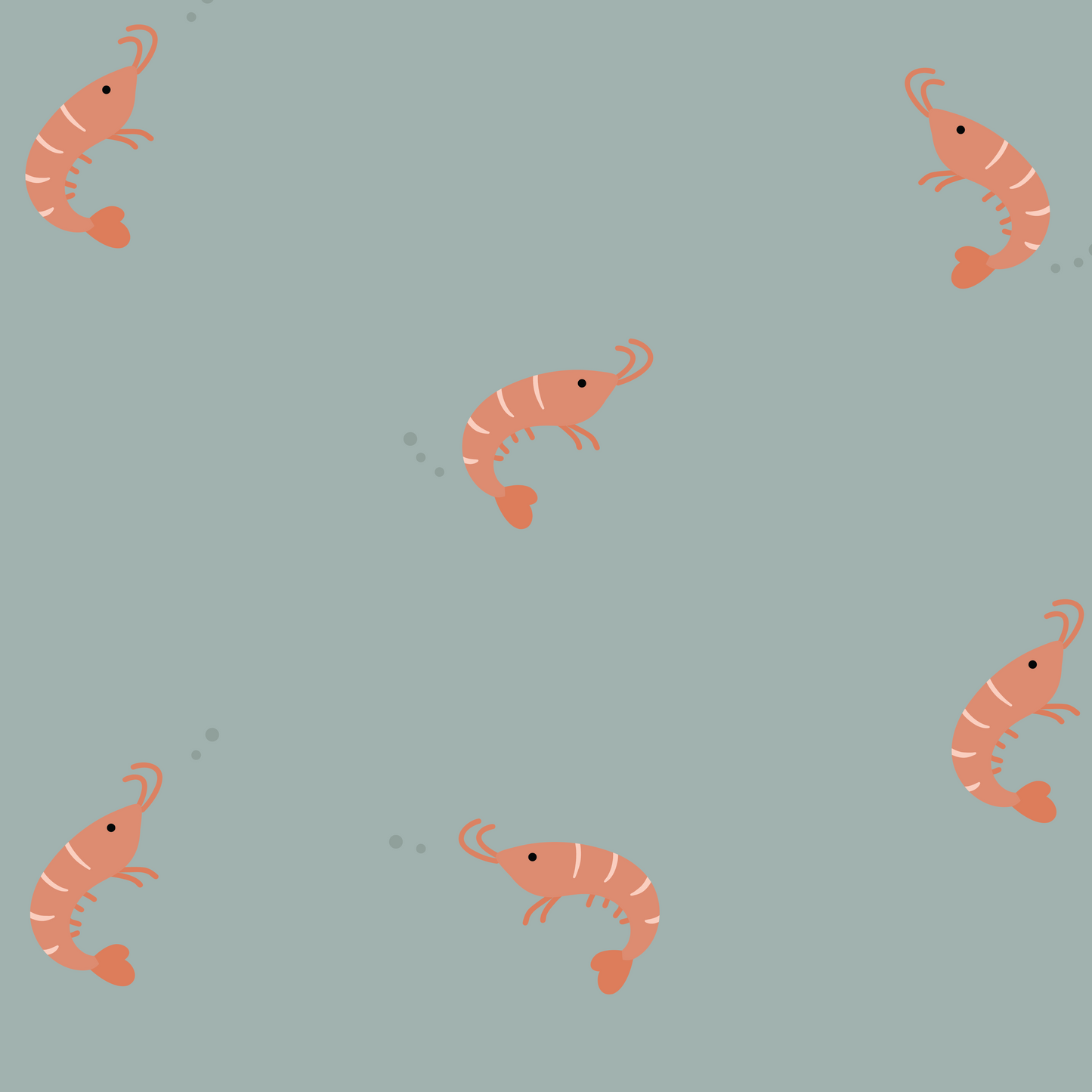 Illustrated print of various shrimp