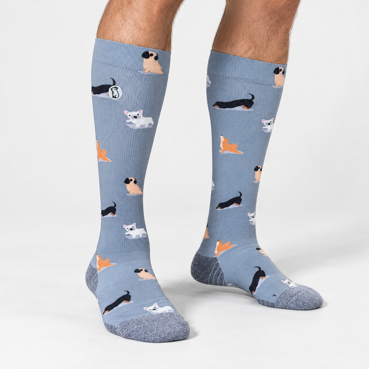 Male model wearing blue/purple compression sock with print featuring various dogs on light grey background